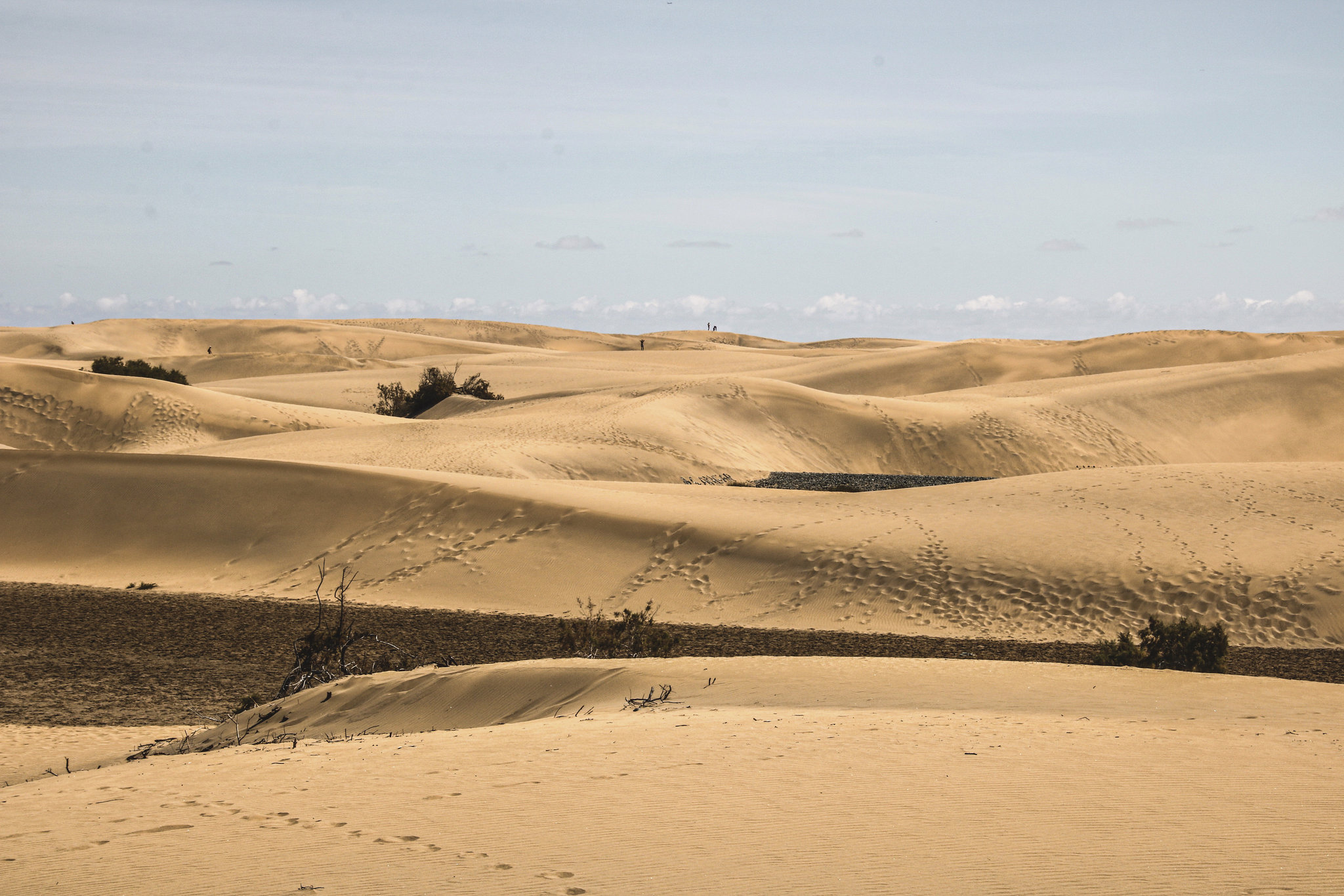 The Dunes of Maspalomas