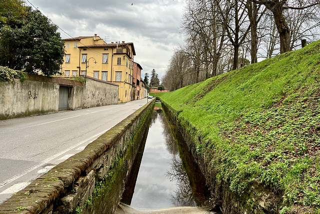 Lucca 2024 – Via del Fosso