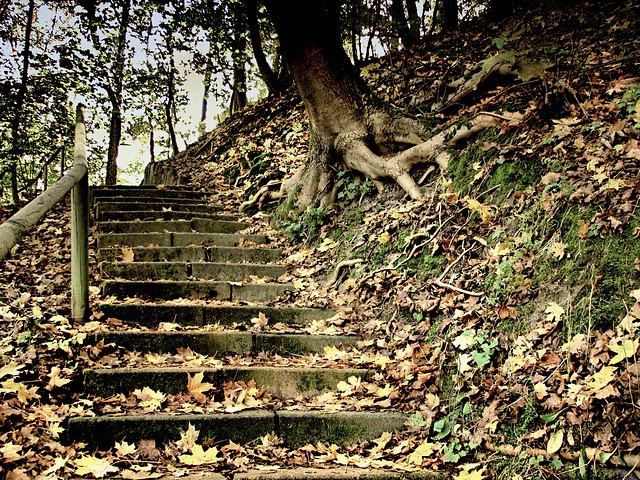 Climbing the hill