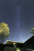 The Stars are Bright Tonight
