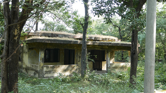 Mahesh Ashram-3