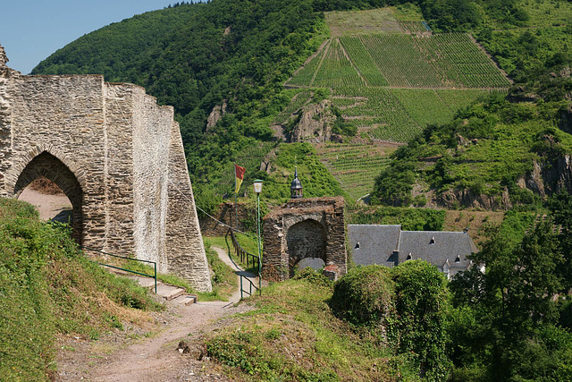 Burg Metternich