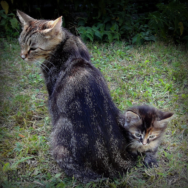 Il y a presque 10 ans, notre Marga était maman