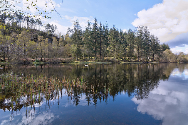 The Trossachs of Scotland: Queen Elizabeth Forest Park