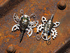 Rust bugs