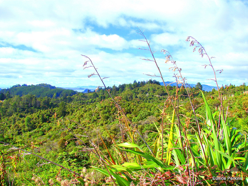 A Green Land.