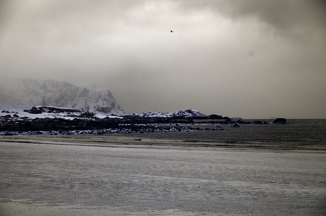 Lofoten - Vestvagoy