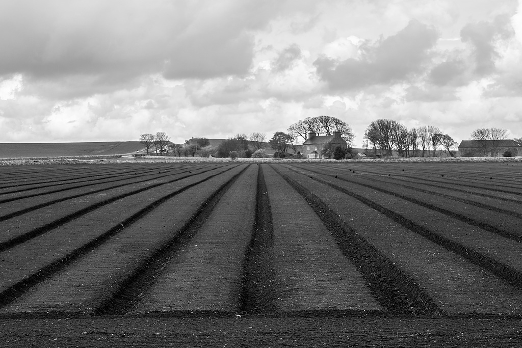 Farming in Fife