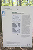 IMG 2722