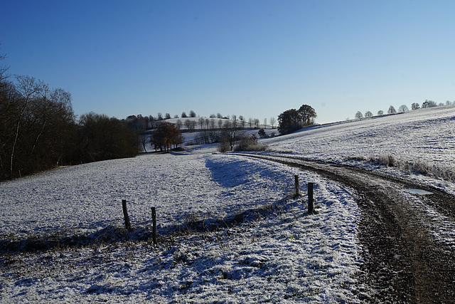 Wunderbares Winterwetter III