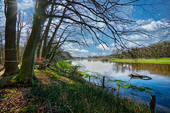 Partie an der Ems Partie an der Ems