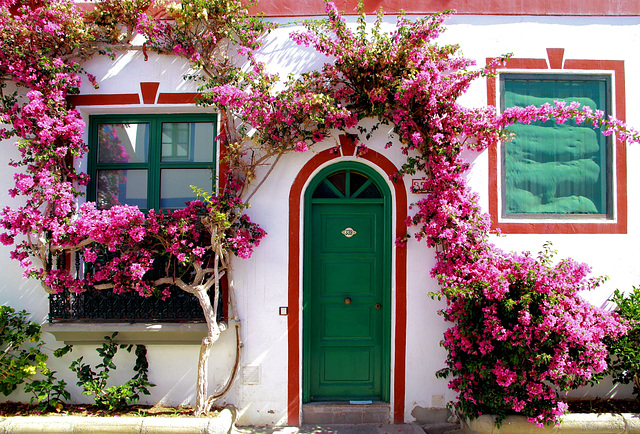 Bougainvilleen umsäumen die Strassen von Mogan