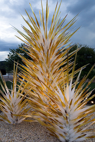 Antler Village tree