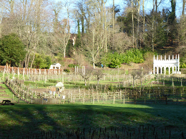 Painswick Rococo Garden (29) - 19 January 2020