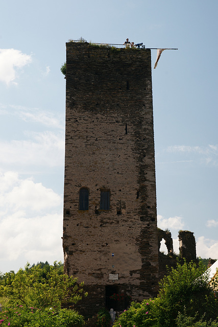 Burg Metternich