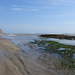 Robin Hood's Bay Beach