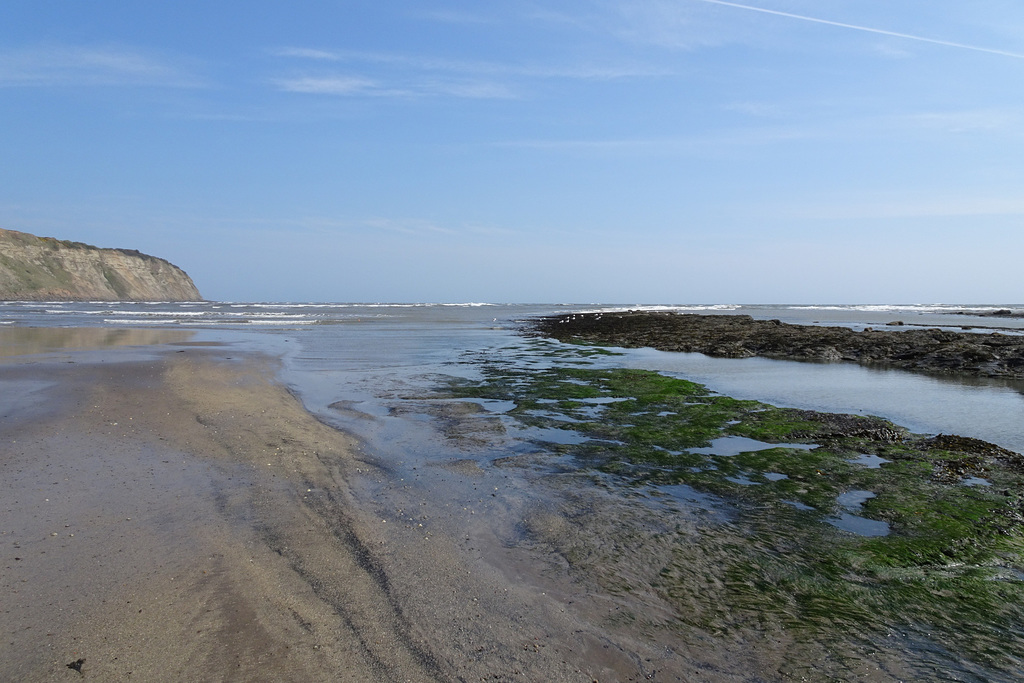 Robin Hood's Bay Beach