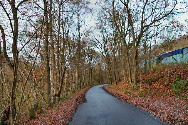 Am Overbeck (Wetter-Albringhausen) / 13.12.2020