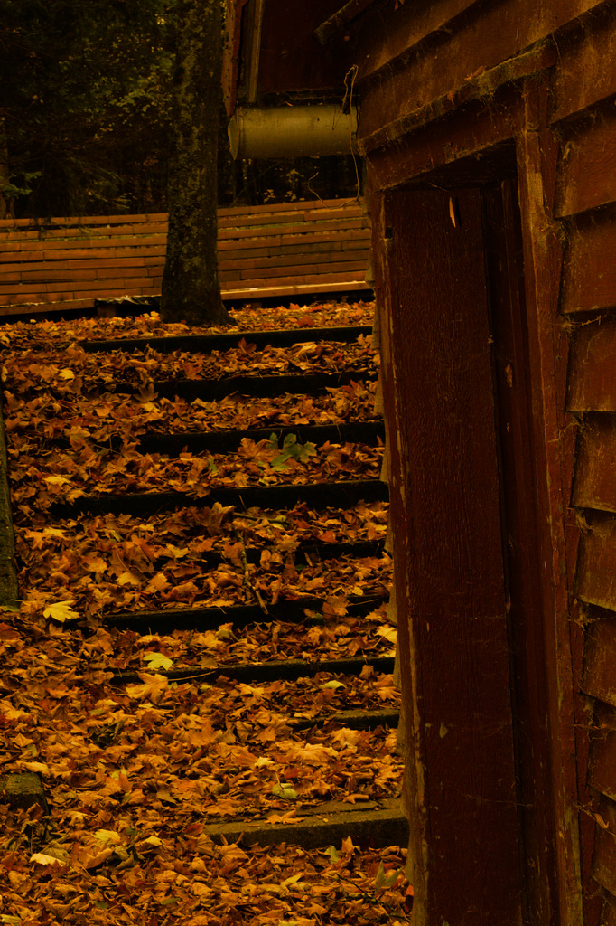 Waldbühne, Benneckenstein