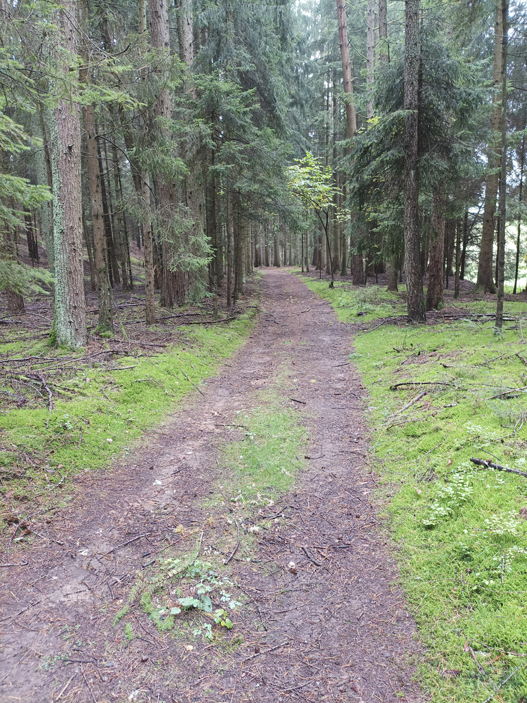 Fränkischer Jakobsweg: Creußen - Pegnitz