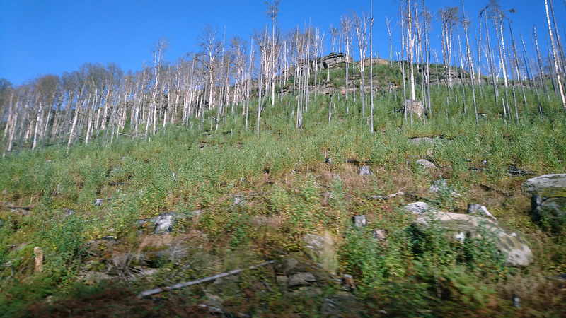 Brandschaden in der Böhmischen Schweiz Brandschaden in der Böhmischen Schweiz