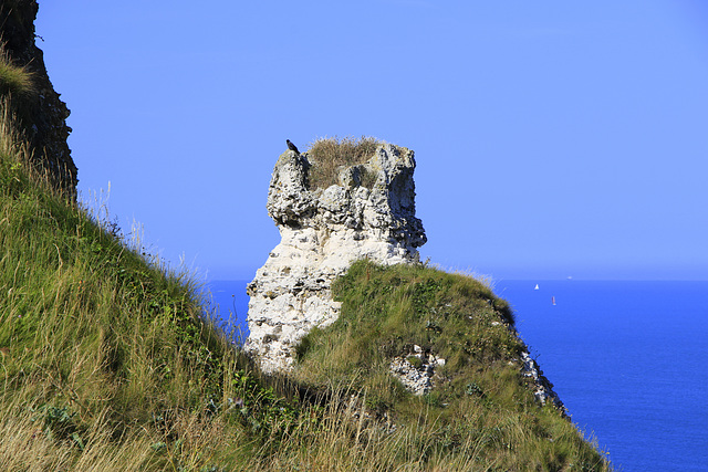 Cliffs near Etretat