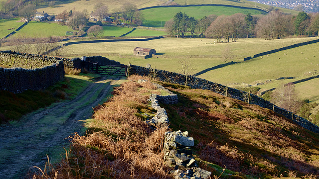 Down to the Field Barn