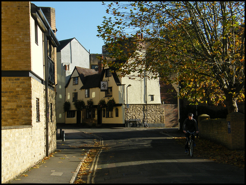 autumn in Paradise Street