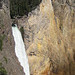 Lower Yellowstone Falls