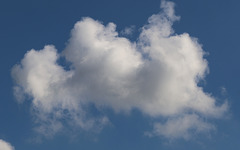 j' ai raconté une histoire à mon petit chien , il etait mort de rire , à s' en rouler par terre ....