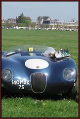 Jaguar type C années 1950