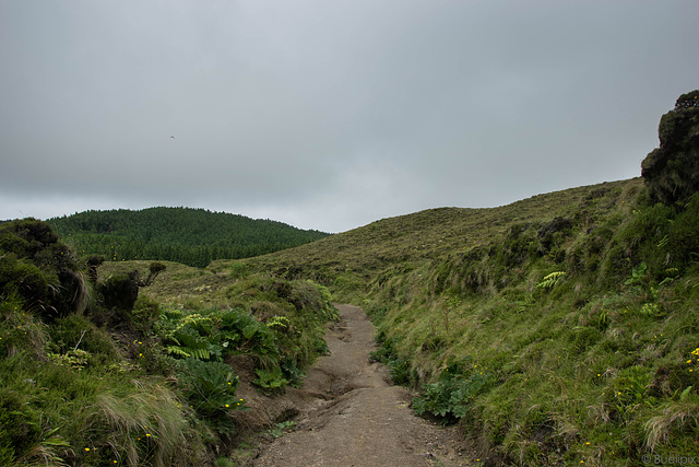 Wanderweg auf São Miguel (© Buelipix)