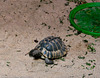 Meeres Auquarium Zella-Mehlis