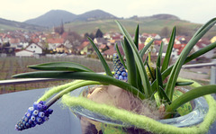 Blumenschmuck auf der Terrasse