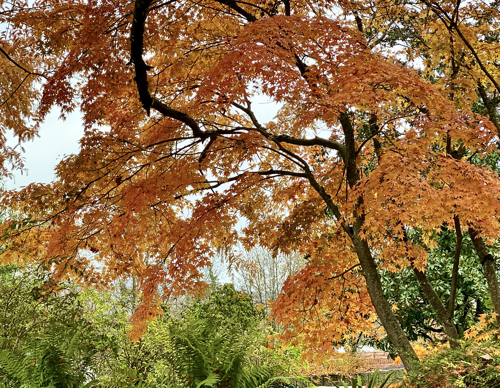 Herbst