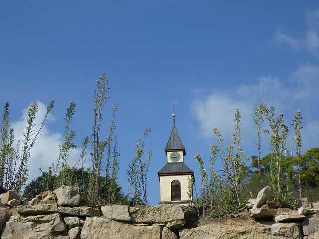 Kirchturm von Wasenweiler (Kaiserstuhl)