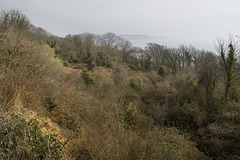 Ware Undercliff and Lyme Bay