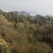Ware Undercliff and Lyme Bay