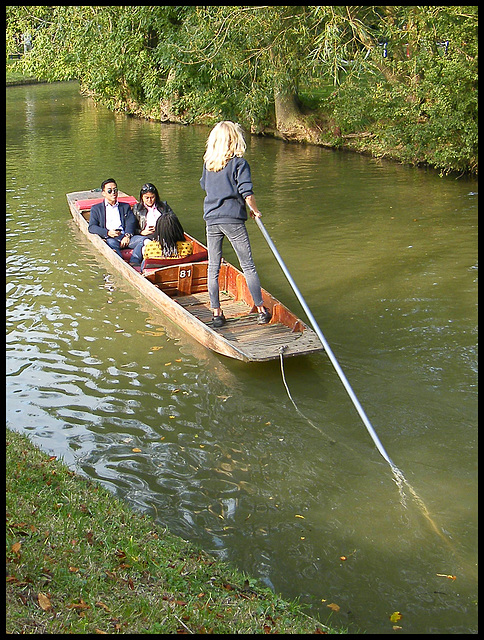 Goldilocks goes punting