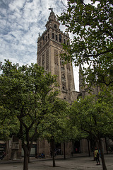 20161021 2414VRAw [E]  Giralda, Catedral, Sevilla, Spanien