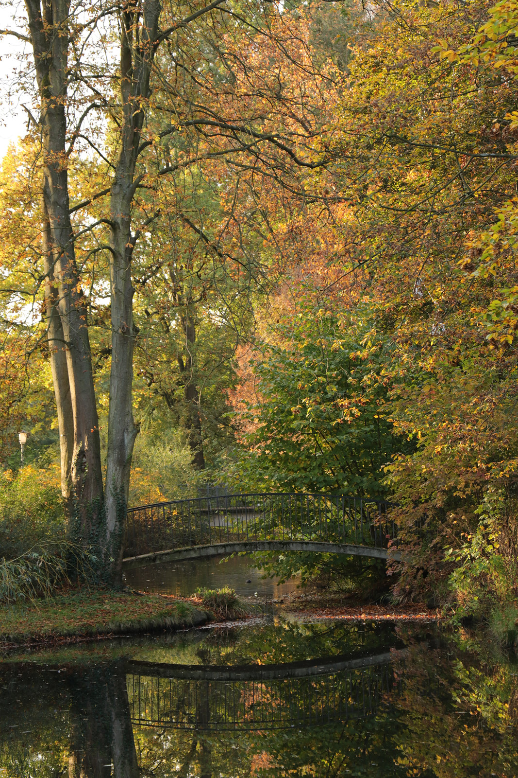 Happy Herbst ! HFF