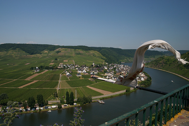 Flag Flying From Burg Metternich