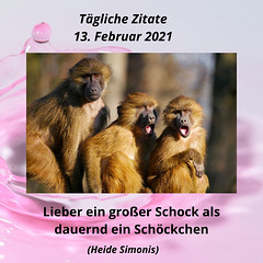 Tägliche Zitate 13. Februar 2021