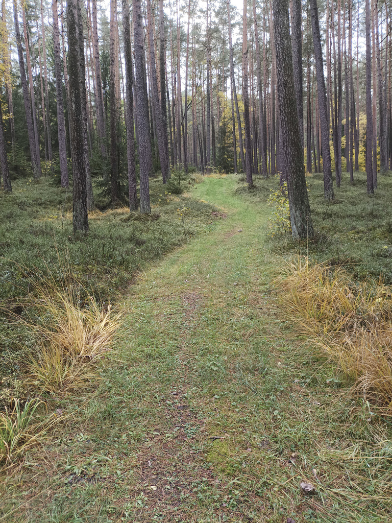 Fränkischer Jakobsweg: Creußen - Pegnitz