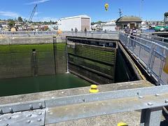 The Ballard Locks