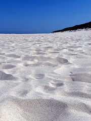Sitting in the sand