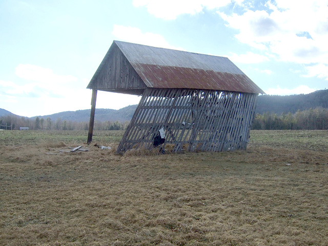 The Barn Continues Its Slide to Sticks. #4