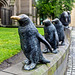 Penguin Parade, Nethergate, Dundee