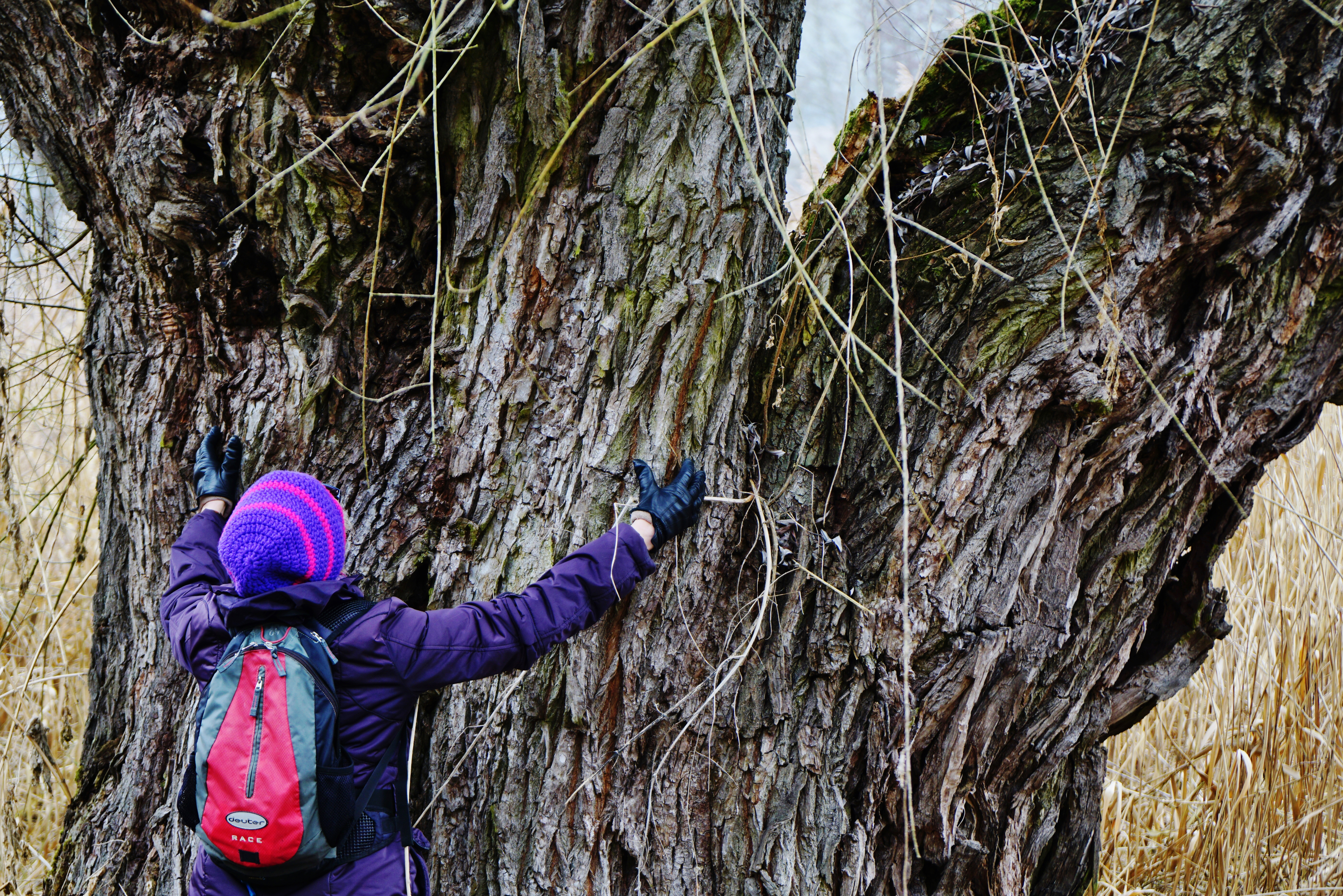 Heute schon einen Baum umarmt? Already hugged a tree today?