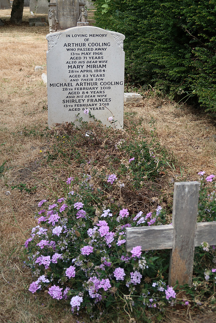 Grave of Messrs Cooling Snr and Jnr